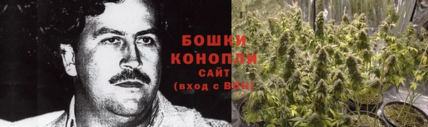 a pvp Белокуриха