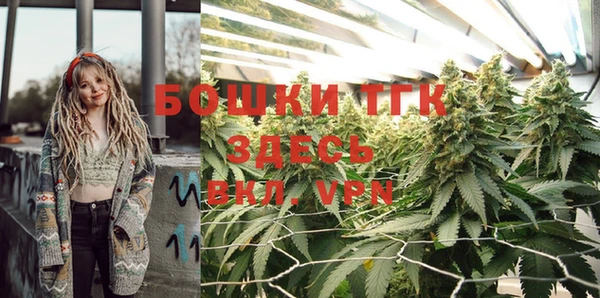 a pvp Белокуриха